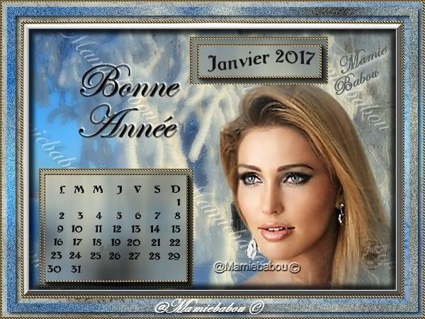 Calendrier de Janvier 2017
