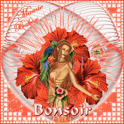 gif femme fleur orange Bonsoir .