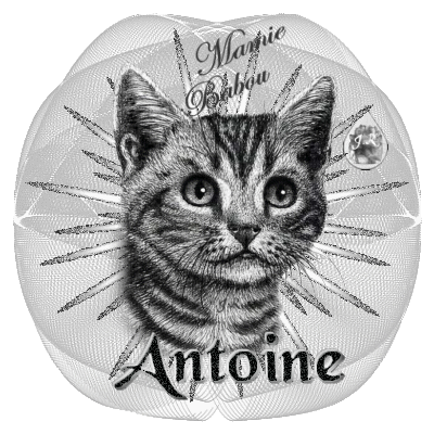 Antoine And Antoinette [1947]